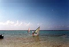 1998 - Guadeloupe 18